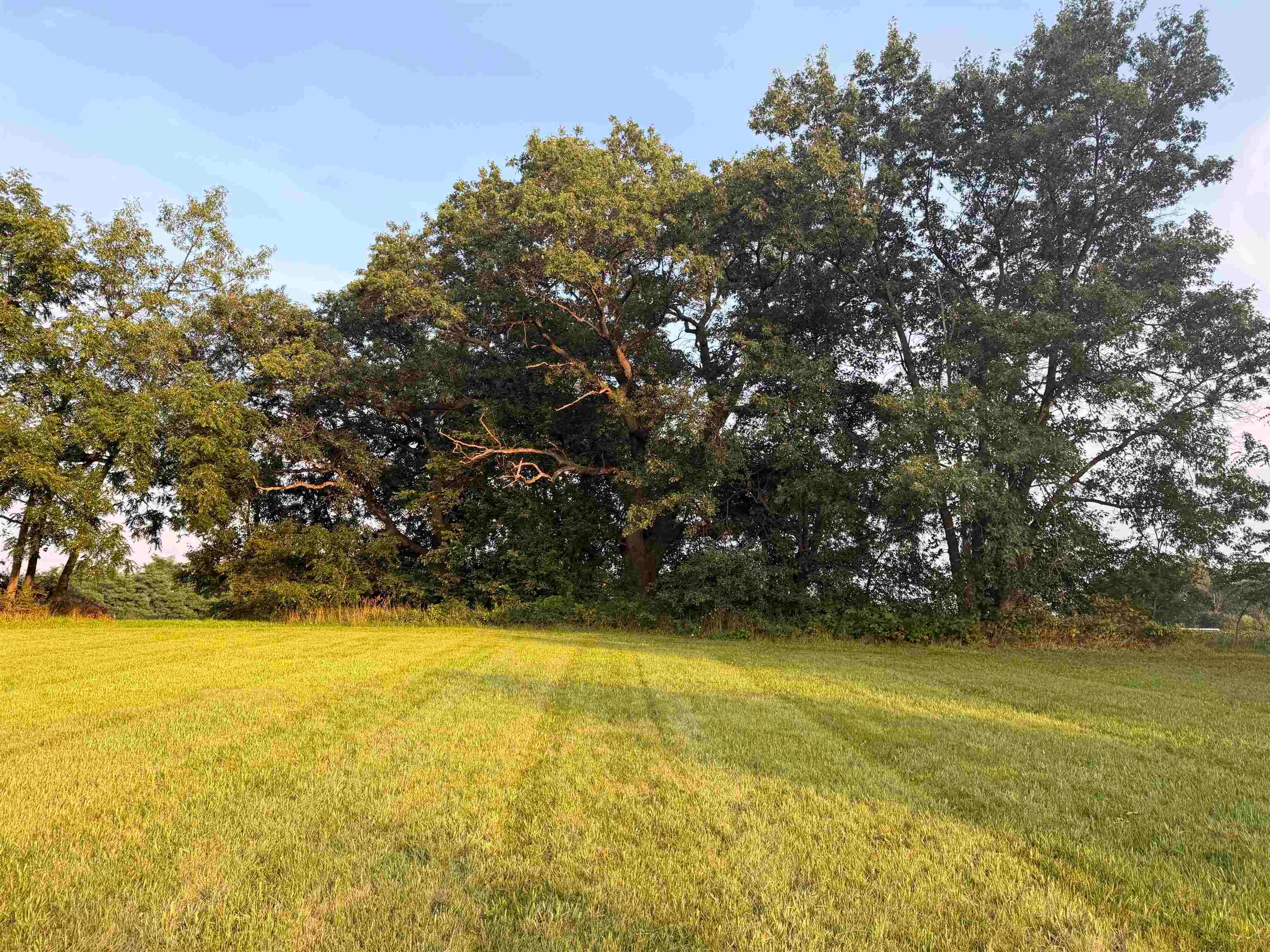 Lot 2 Stephenson Lane - Photo 2