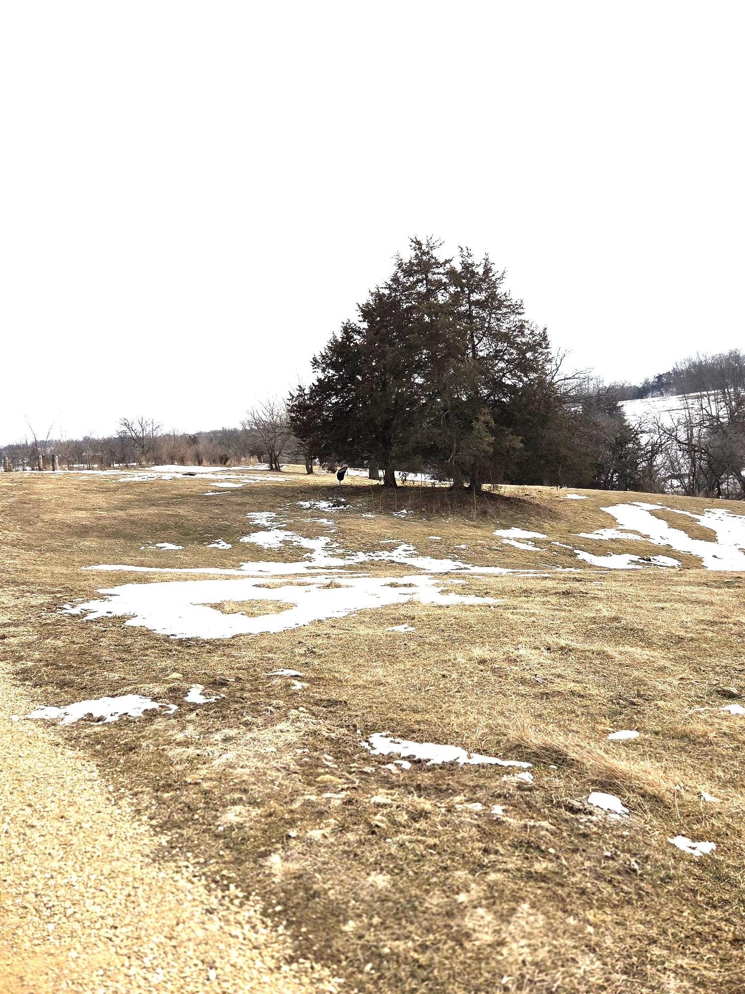 15 Ac + County Road W Road