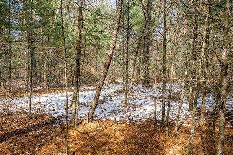 Photo of Lot 38 S Badger Lane, Arkdale, WI 54613 (MLS # 2018292)