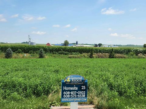 Photo of 839 Capitol Drive, Dane, WI 53529 (MLS # 2018478)