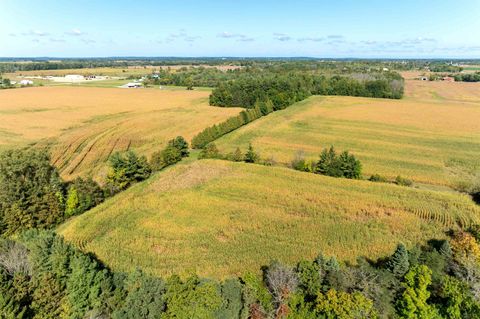 Tiny photo for 98 Acres County Road XX, Berlin, WI 54923 (MLS # 2009814)