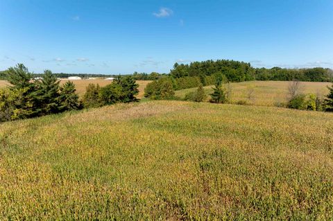Tiny photo for 98 Acres County Road XX, Berlin, WI 54923 (MLS # 2009814)