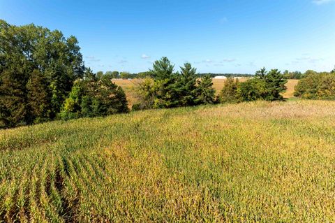 Tiny photo for 98 Acres County Road XX, Berlin, WI 54923 (MLS # 2009814)