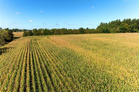 Tiny photo for 98 Acres County Road XX, Berlin, WI 54923 (MLS # 2009814)