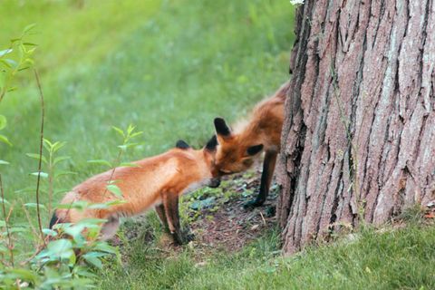 Tiny photo for 10168 N Edgewood Shores Road, Edgerton, WI 53534 (MLS # 2012543)