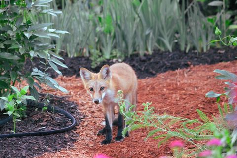 Tiny photo for 10168 N Edgewood Shores Road, Edgerton, WI 53534 (MLS # 2012543)