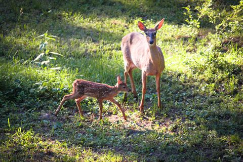 Tiny photo for 10168 N Edgewood Shores Road, Edgerton, WI 53534 (MLS # 2012543)