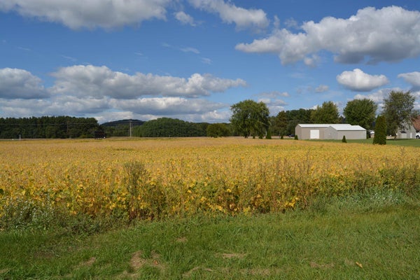 LOT 11 SOMMERSET ROAD, SPRING GREEN, WI 53588 - Image 5901c993e5f50fb0d10fbf02dd2ef17c/444975226