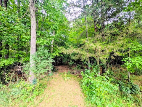 Photo of 0 County Road C, Arkdale, WI 54613 (MLS # 2030208)