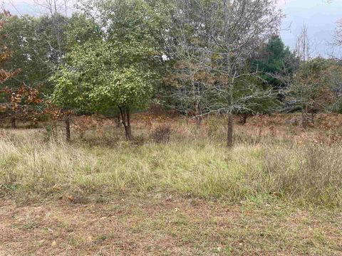 Photo of Lot 3 Sandcrest Lane, Princeton, WI 54968 (MLS # 2010925)