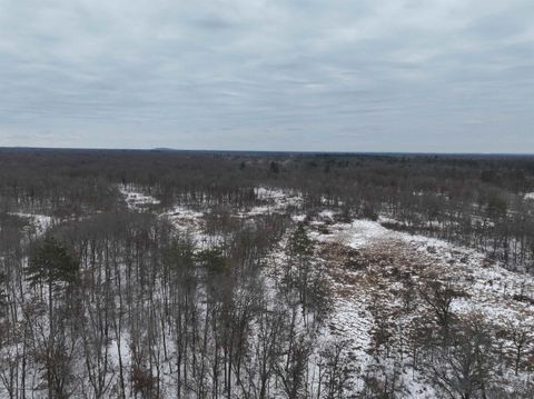 Photo of W6881 12th Street, Necedah, WI 54646 (MLS # 2017080)