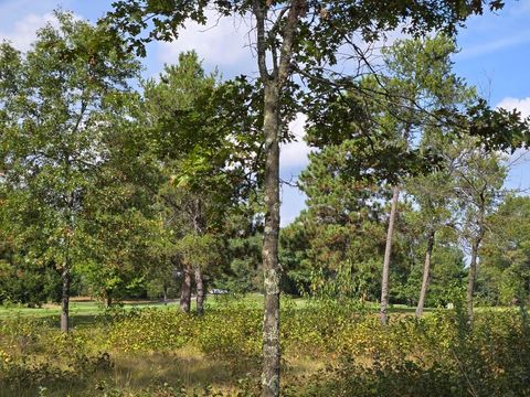 Tiny photo for 491 St Andrews Trail, Nekoosa, WI 54457 (MLS # 2009855)