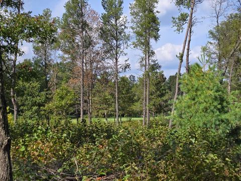 Tiny photo for 491 St Andrews Trail, Nekoosa, WI 54457 (MLS # 2009855)
