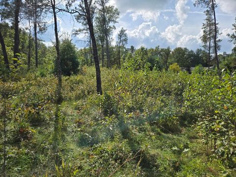 Tiny photo for 491 St Andrews Trail, Nekoosa, WI 54457 (MLS # 2009855)