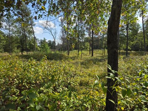 Tiny photo for 491 St Andrews Trail, Nekoosa, WI 54457 (MLS # 2009855)