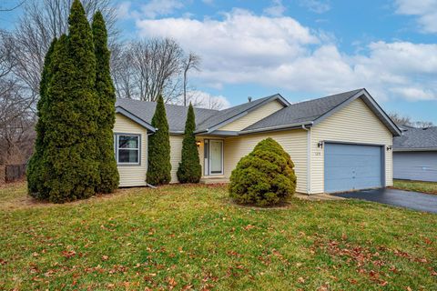 Photo of 1219 W 6th Street, Belvidere, IL 61008 (MLS # 2014133)