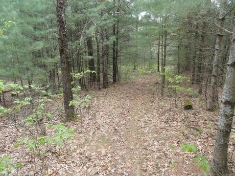 Tiny photo for 3395 8th Ave, Wisconsin Dells, WI 53965 (MLS # 2000383)