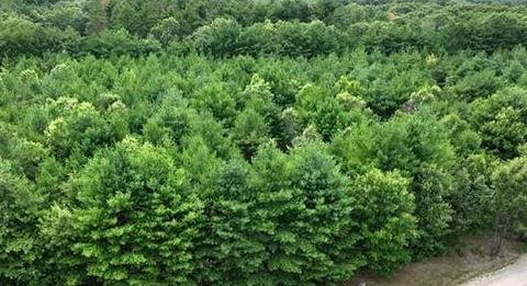 Photo of L16 Sandy Pines Court, Redgranite, WI 54970 (MLS # 2020321)