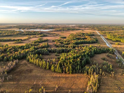 Photo of N2787 Cranberry Road, Warrens, WI 54666 (MLS # 2035001)