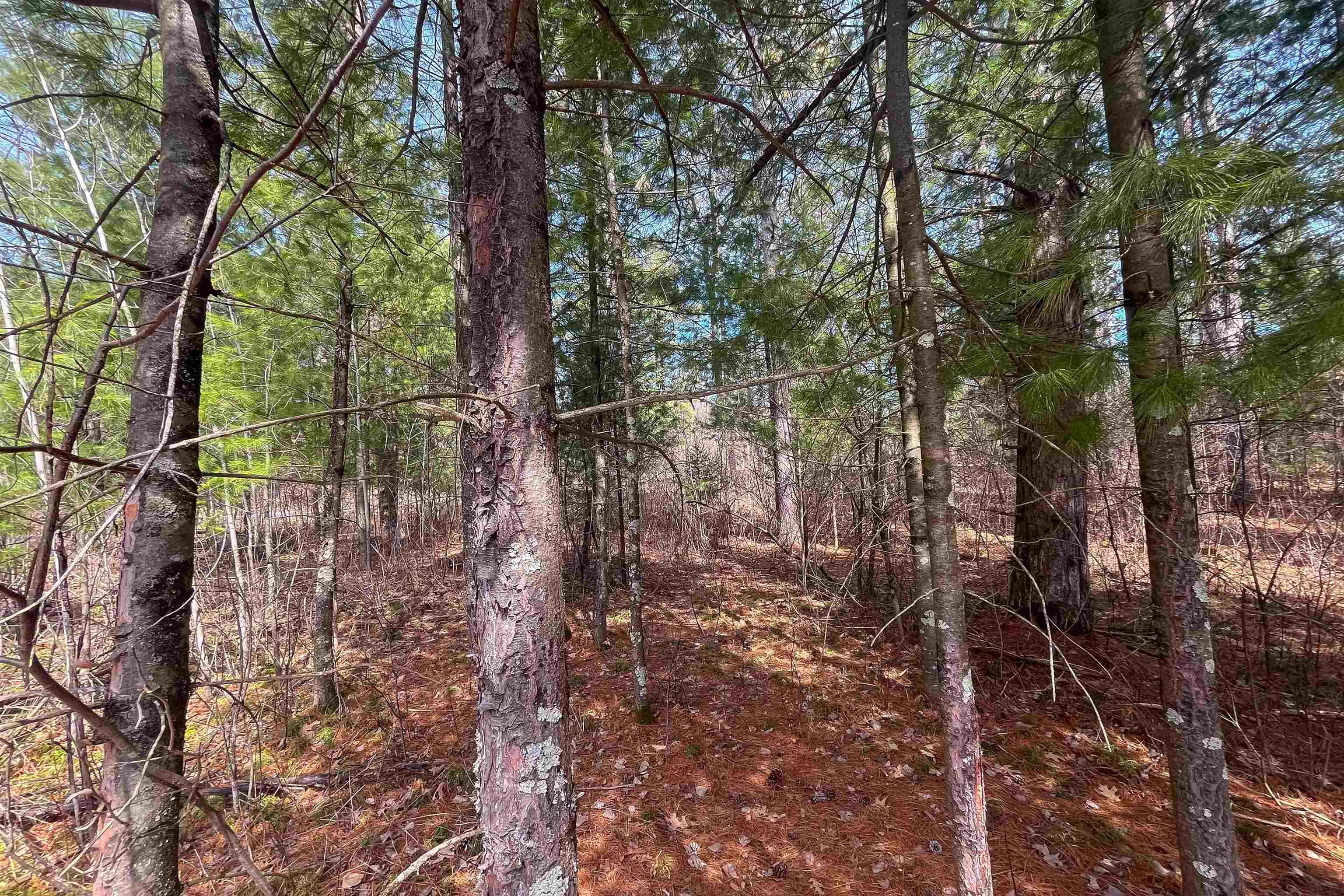 Lot 1 CSM 2651 Eagle Avenue