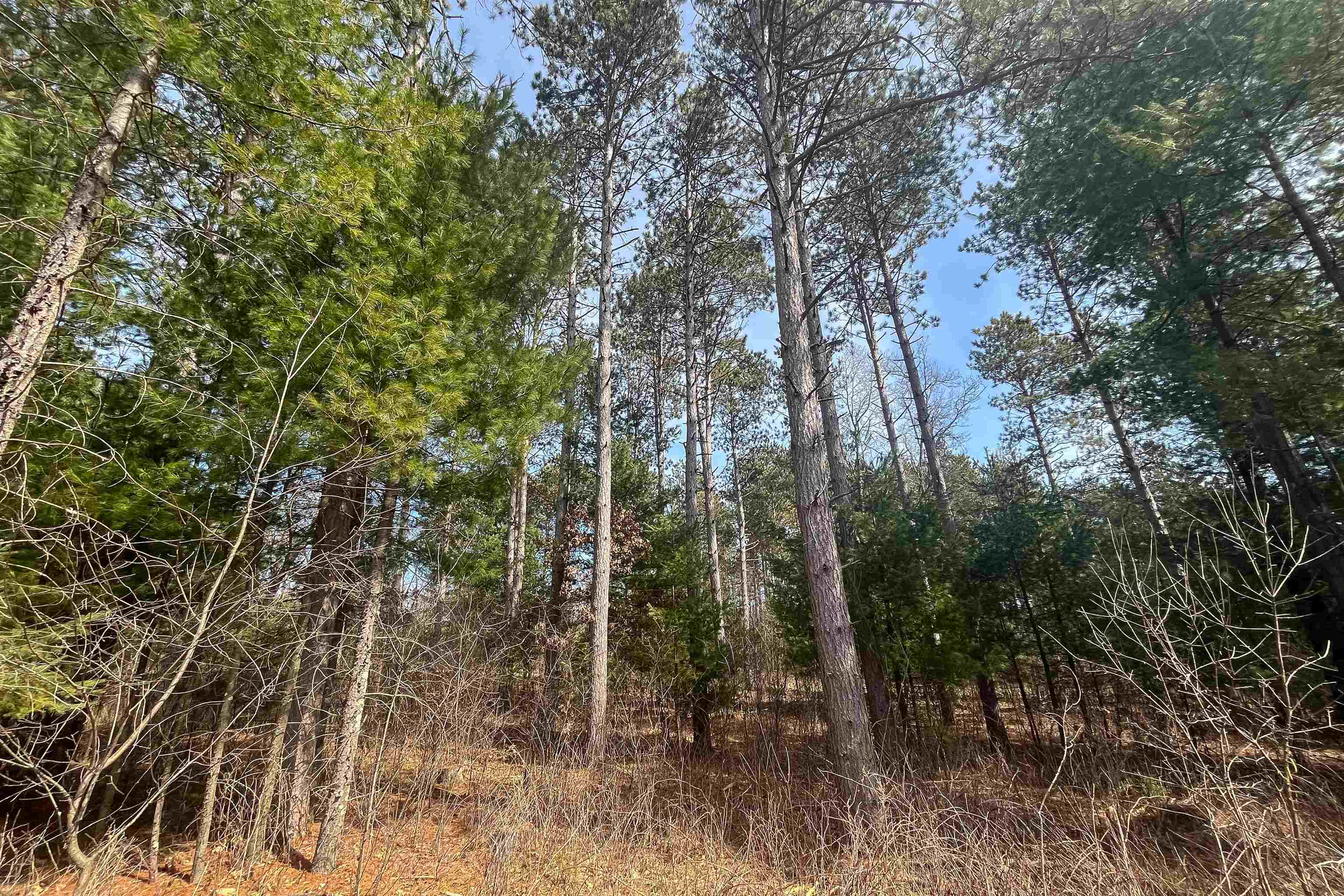 Lot 1 CSM 2651 Eagle Avenue