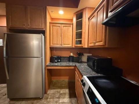 Tiny photo for 2411 River Road 2221 #2221, Wisconsin Dells, WI 53965 (MLS # 2004758)