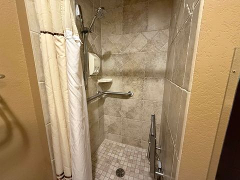 Tiny photo for 2411 River Road 2221 #2221, Wisconsin Dells, WI 53965 (MLS # 2004758)