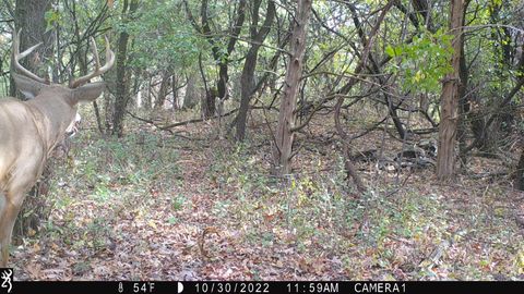 Tiny photo for 100 Highway 23, Green Lake, WI 54941 (MLS # 2005602)