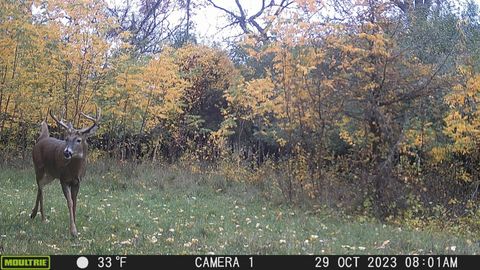 Tiny photo for 100 Highway 23, Green Lake, WI 54941 (MLS # 2005602)