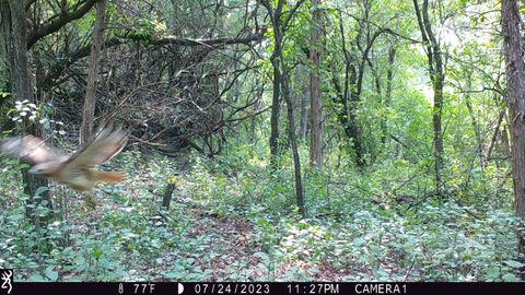 Tiny photo for 100 Highway 23, Green Lake, WI 54941 (MLS # 2005602)