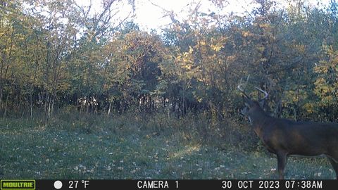 Tiny photo for 100 Highway 23, Green Lake, WI 54941 (MLS # 2005602)