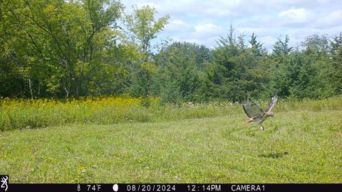 Tiny photo for 100 Highway 23, Green Lake, WI 54941 (MLS # 2005602)