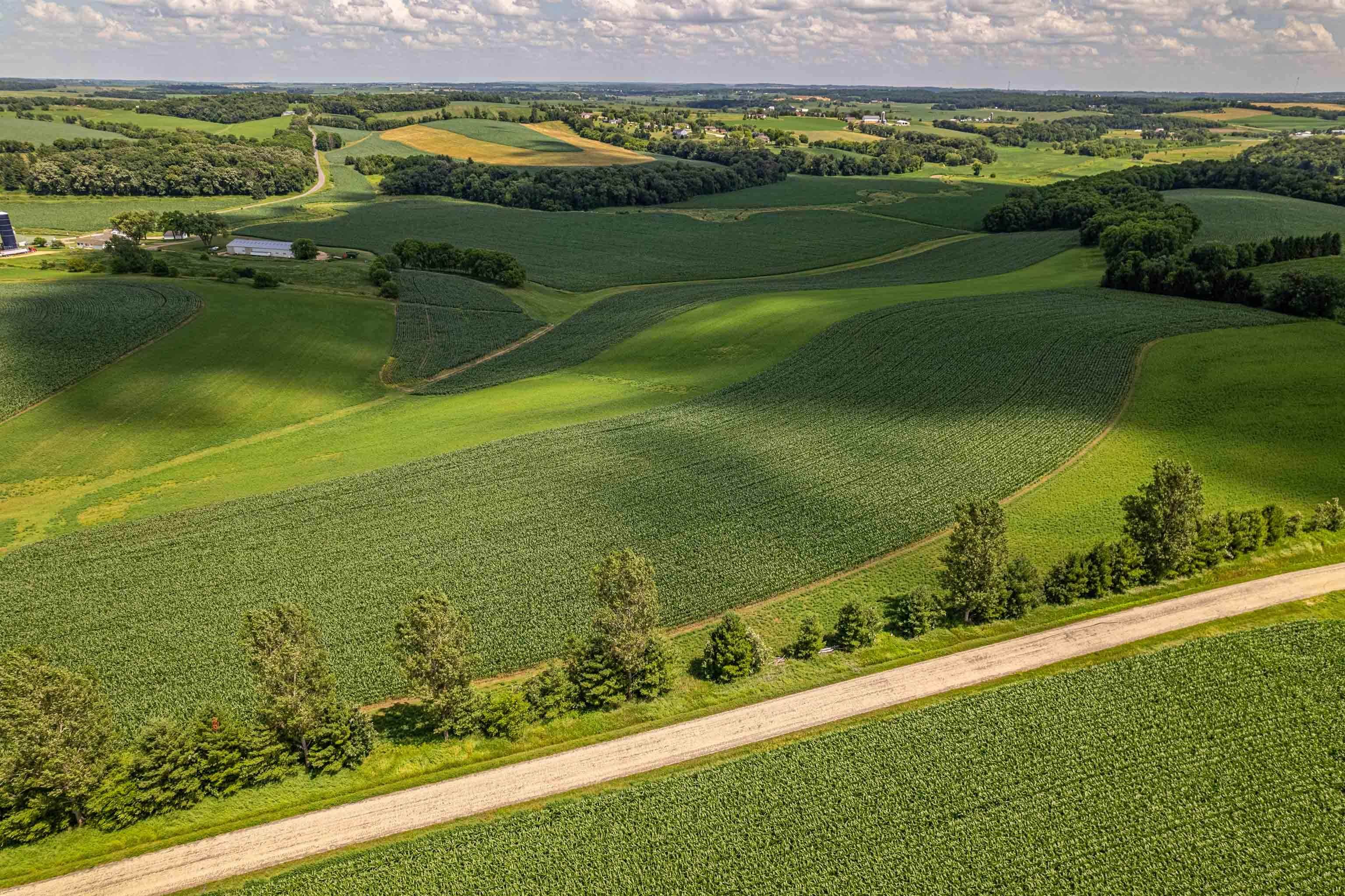 Lot 9 9.69 Acres Hefty Road - Photo 2