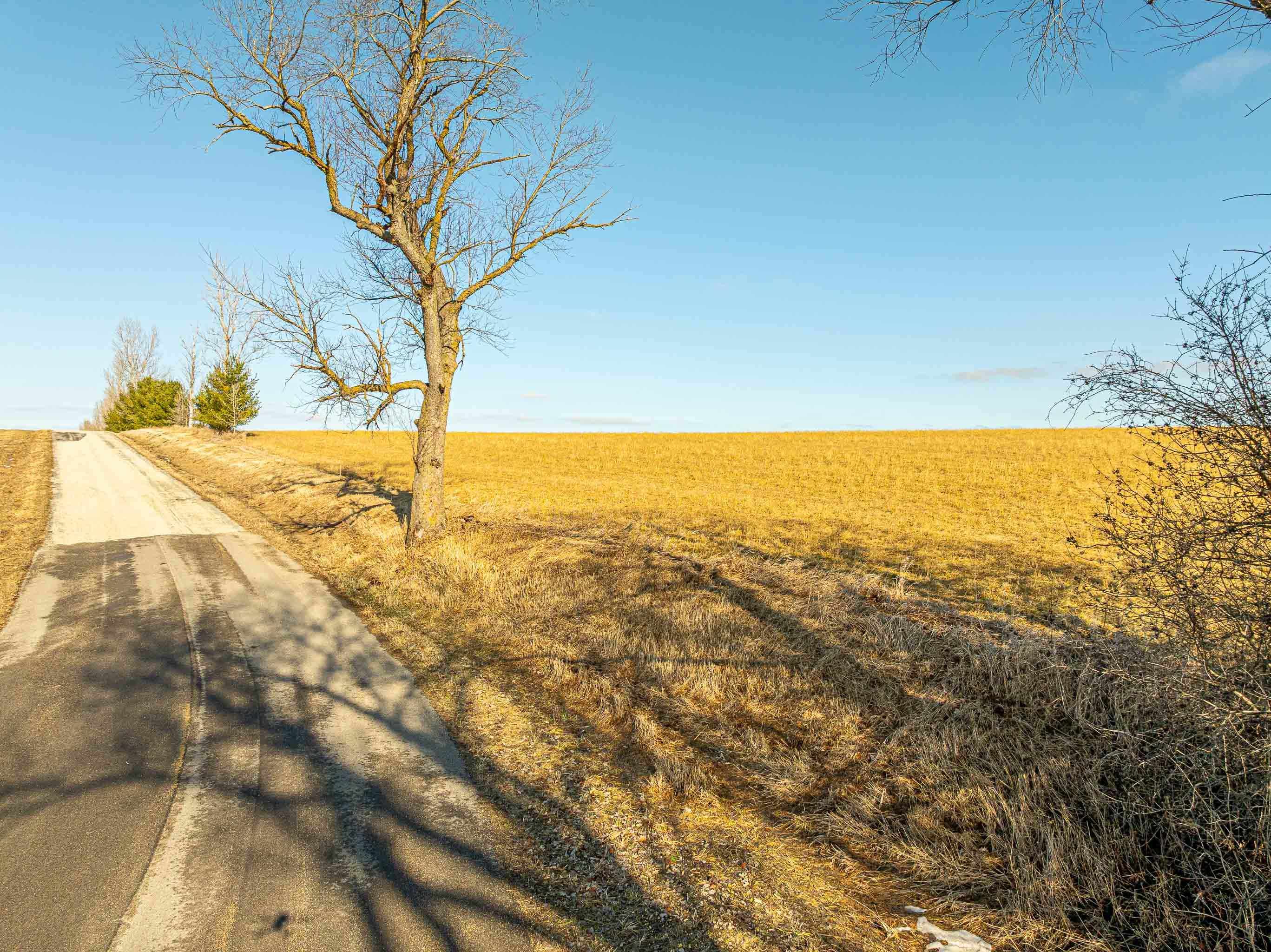 Lot 9 9.69 Acres Hefty Road - Photo 3