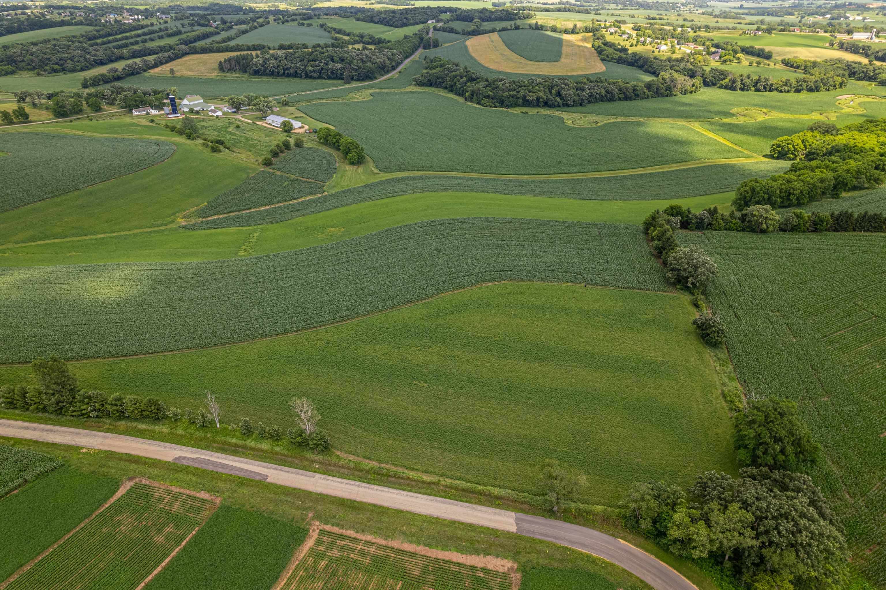 Lot 9 9.69 Acres Hefty Road - Photo 3