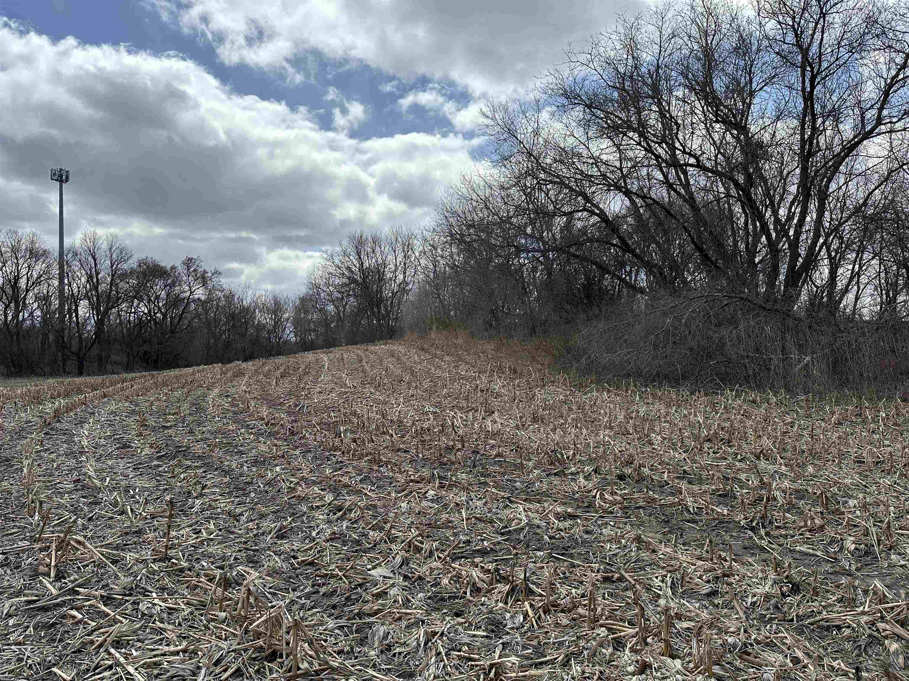 Stoughton, Wisconsin 53589, United States, ,Land,Active,104466