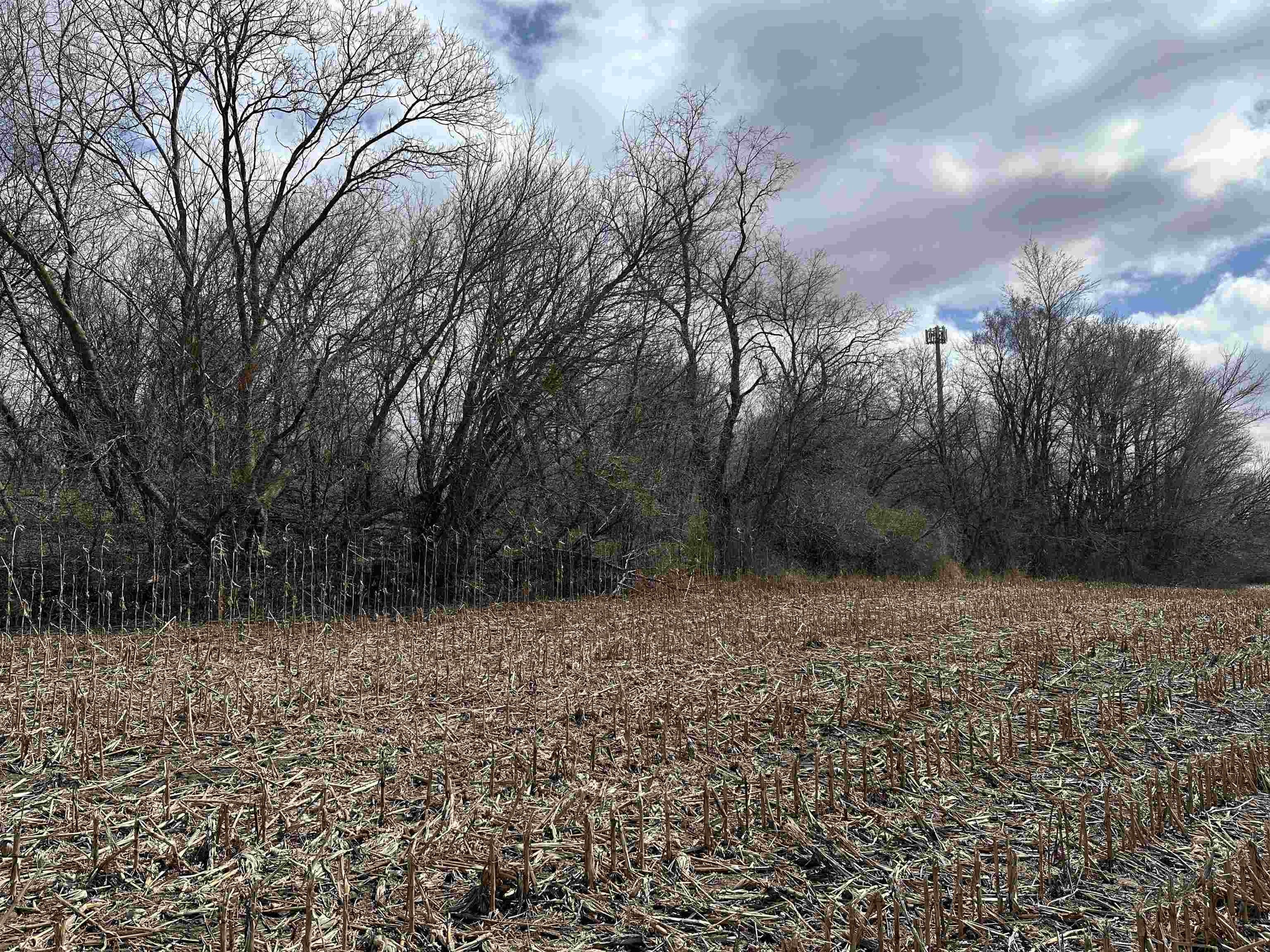 Stoughton, Wisconsin 53589, United States, ,Land,Active,104466