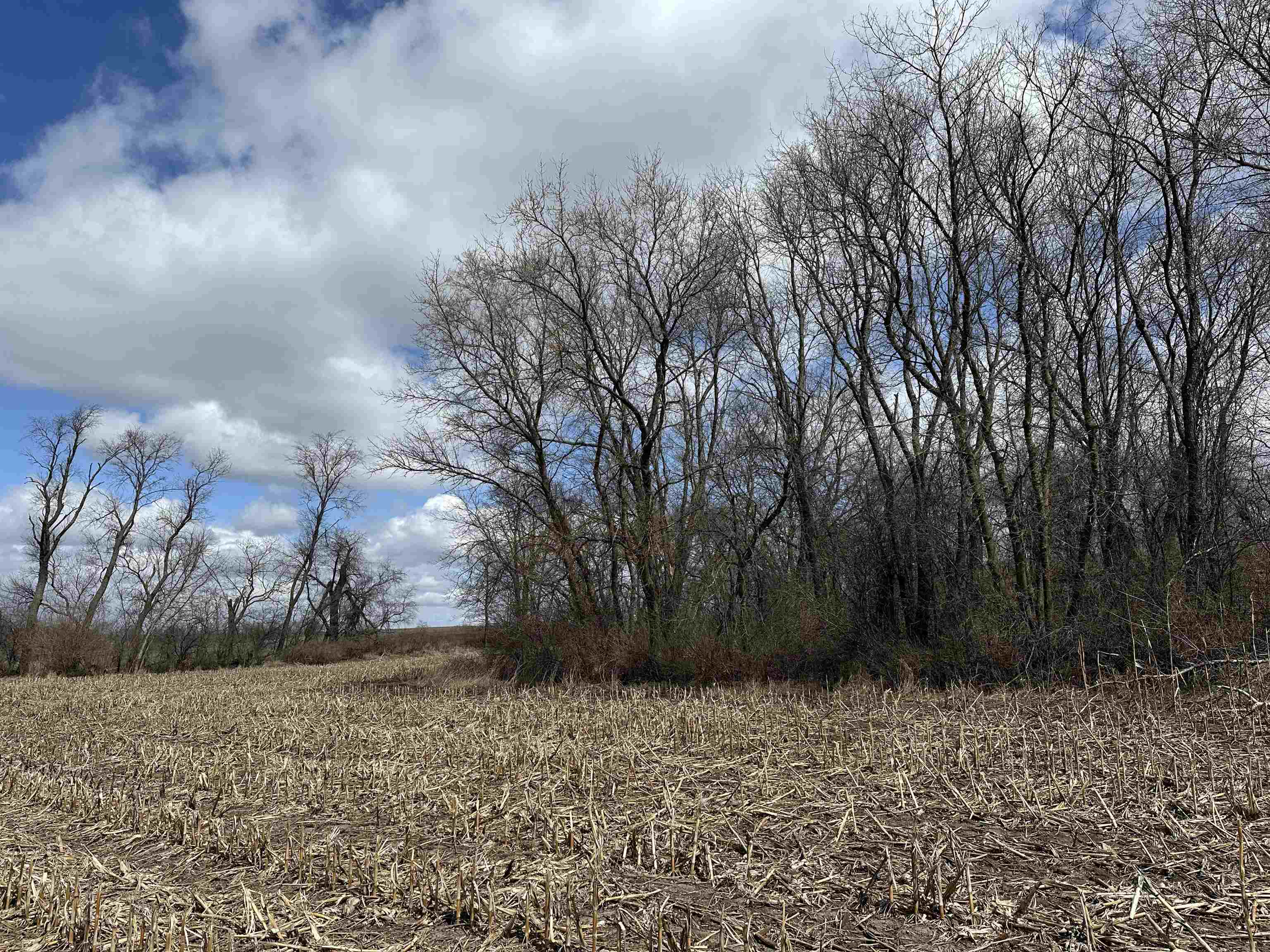 Stoughton, Wisconsin 53589, United States, ,Land,Active,104466