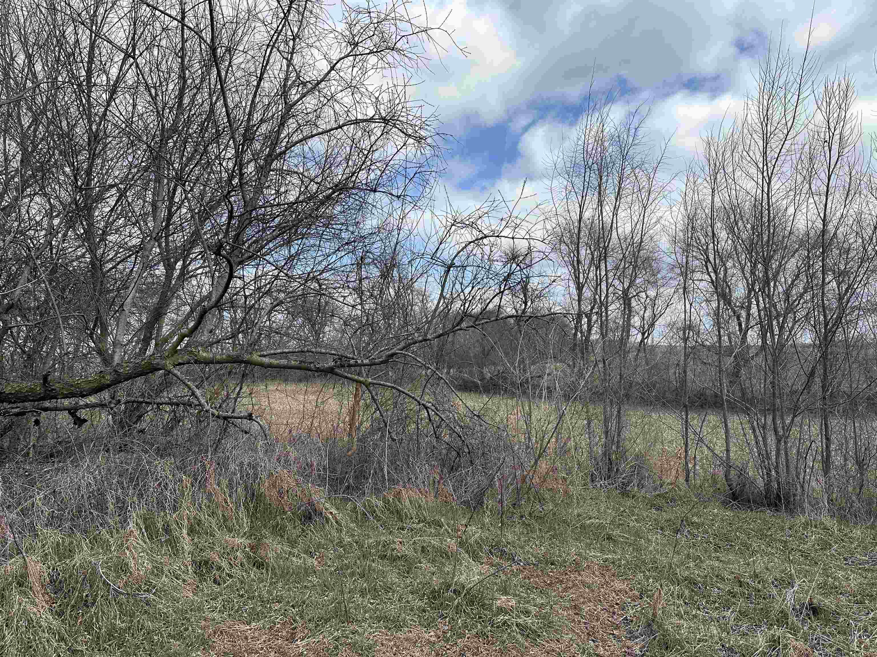 Stoughton, Wisconsin 53589, United States, ,Land,Active,104466