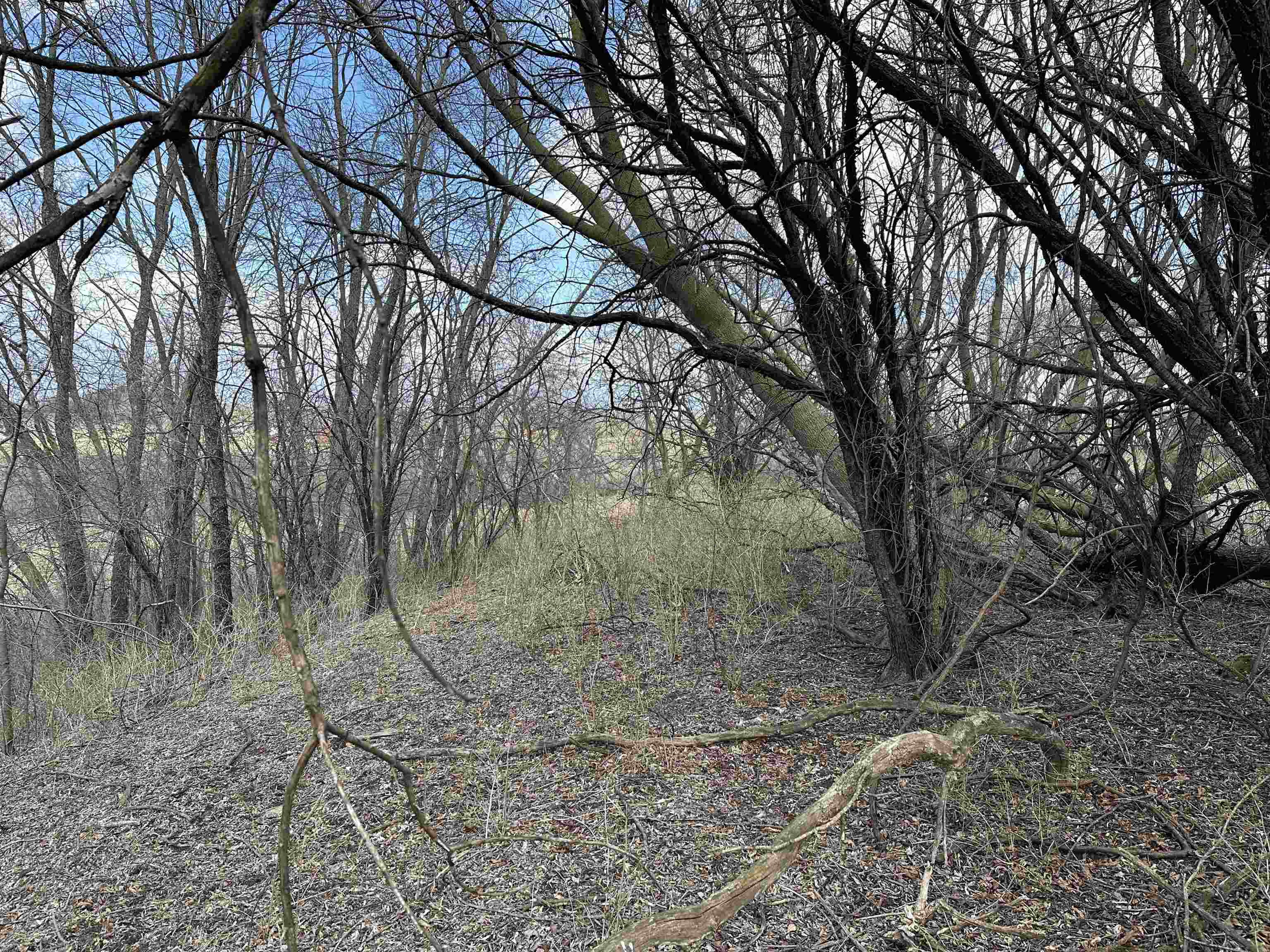 Stoughton, Wisconsin 53589, United States, ,Land,Active,104466