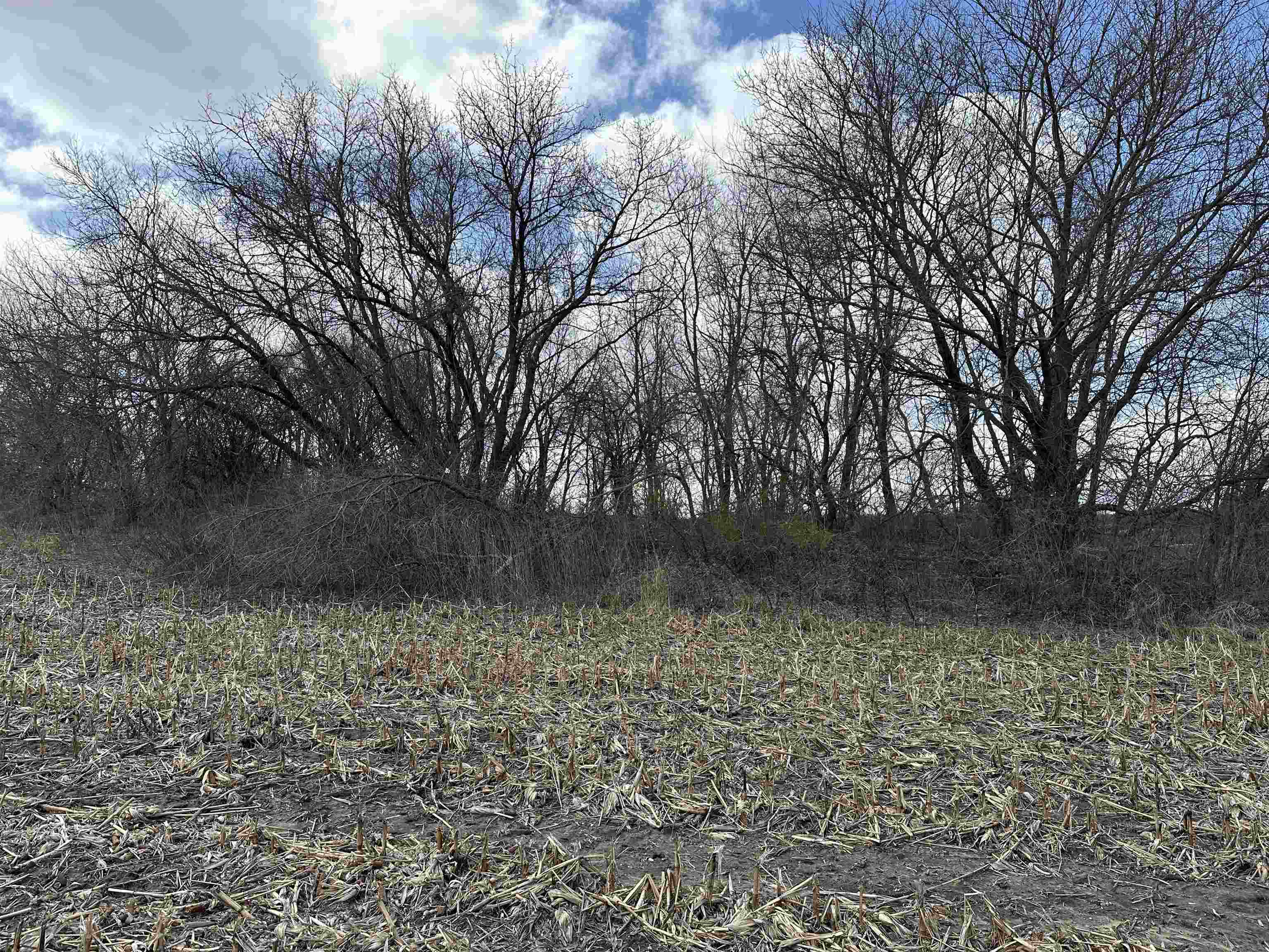 Stoughton, Wisconsin 53589, United States, ,Land,Active,104466