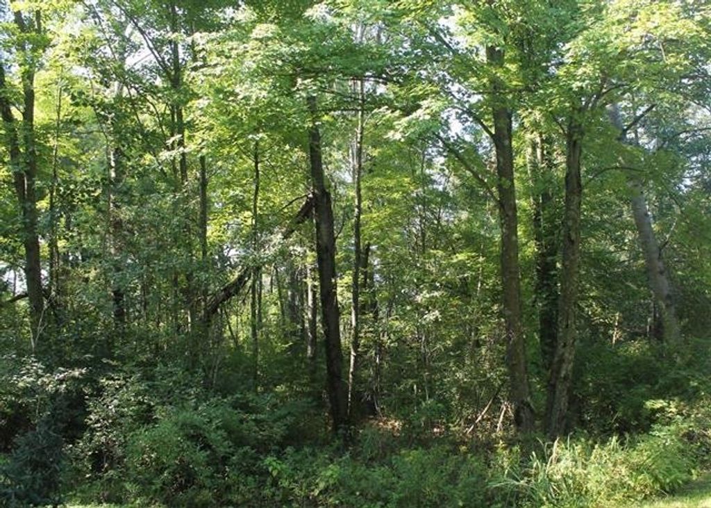 Photo for Lot 53, 3rd Avenue, Oxford, WI 53952 (MLS # 1974950)