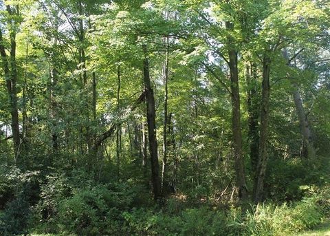 Photo of Lot 53, 3rd Avenue, Oxford, WI 53952 (MLS # 1974950) Photo of Lot 53, 3rd Avenue, Oxford, WI 53952 (MLS # 1974950)