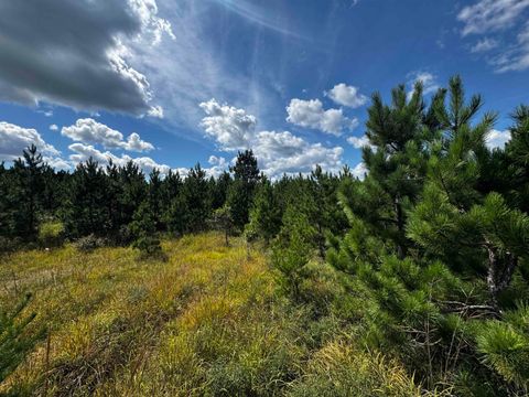 Tiny photo for 40 AC Buttercup Ave E Acres, Arkdale, WI 54613 (MLS # 2009955)