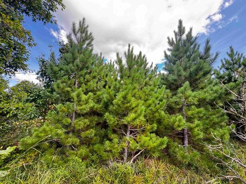 Tiny photo for 40 AC Buttercup Ave E Acres, Arkdale, WI 54613 (MLS # 2009955)