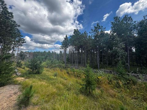 Tiny photo for 40 AC Buttercup Ave E Acres, Arkdale, WI 54613 (MLS # 2009955)