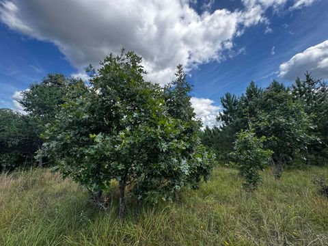 Tiny photo for 40 AC Buttercup Ave E Acres, Arkdale, WI 54613 (MLS # 2009955)