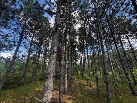 Tiny photo for 40 AC Buttercup Ave E Acres, Arkdale, WI 54613 (MLS # 2009955)