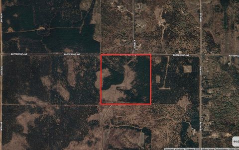 Tiny photo for 40 AC Buttercup Ave E Acres, Arkdale, WI 54613 (MLS # 2009955)