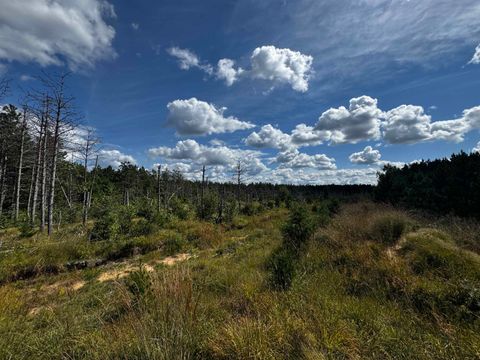 Tiny photo for 40 AC Buttercup Ave E Acres, Arkdale, WI 54613 (MLS # 2009955)